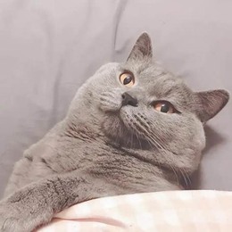 LongPort - 响当当的名号