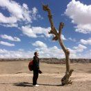 LongPort - 道无形但可悟