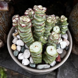 LongPort - 买便宜好货