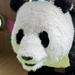 LongPort - 熊猫国民