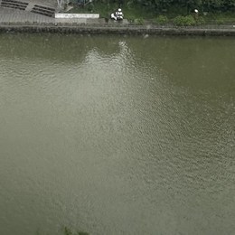 LongPort - 满仓冲锋队