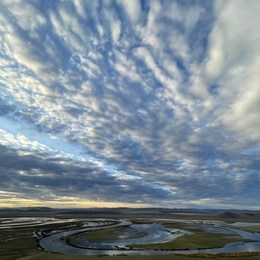 LongPort - 北辰之星