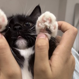 LongPort - 新用户_qWxe9k