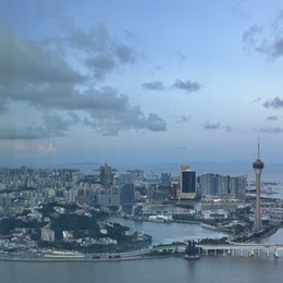 LongPort - 黑牡丹aaaaaa