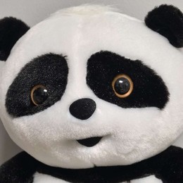 LongPort - 胖安达