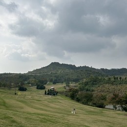 LongPort - 我爱吻篮板