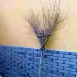 LongPort - 狗庄研究所副所长