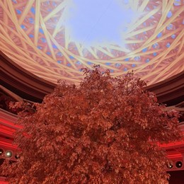 LongPort - 诸暨小福星