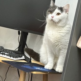 LongPort - 重生之我全仓美股