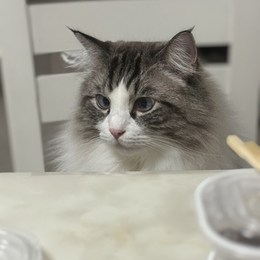 LongPort - SEU凌枫