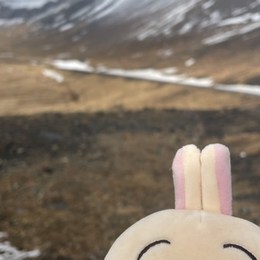 LongPort - 夜影qwq