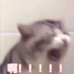 LongPort - 如以解憂唯有退休